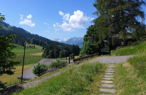 Saanenmoeser Apartment | Cosy apartment for 6 people with WIFI, patio, panoramic view and parking