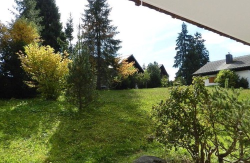 Saanenmoeser Apartment | Cosy apartment for 6 people with WIFI, TV, balcony, pets allowed and parking