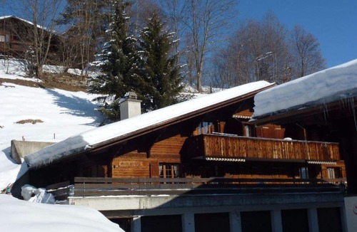 Saanen Apartment | Cosy apartment for 6 people with WIFI, TV, balcony and pets allowed