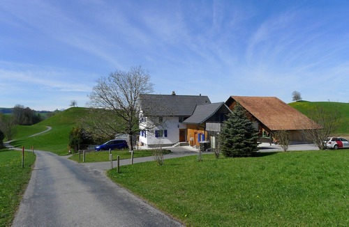 Horgen District Apartment | Cosy apartment for 4 people with WIFI, TV, terrace, pets allowed, panoramic view and parking