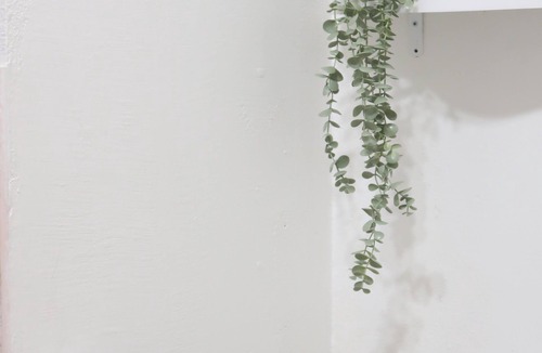 Mermoz Apartment | Cosy apartment in beautiful Lyon