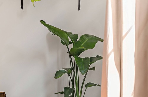 Coteaux Ouest Apartment | Cosy apartment Rouen Rive Droite. Pets allowed.