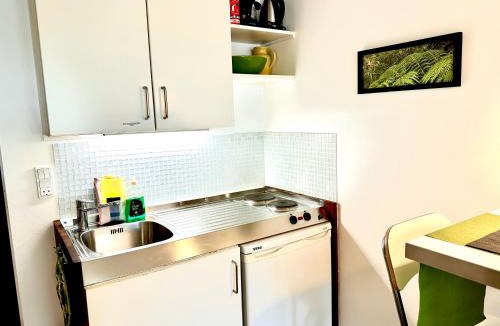 Vallensaek House | Cosy apartment with private terrace