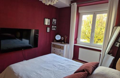 Ep 21 - Saint-Paul Apartment | Cosy Appartement Complet centre-ville Montbéliard