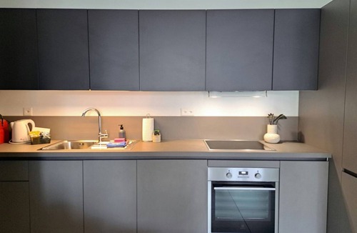 Viganello Apartment | Cosy bilo close to the centre (Urban 1)