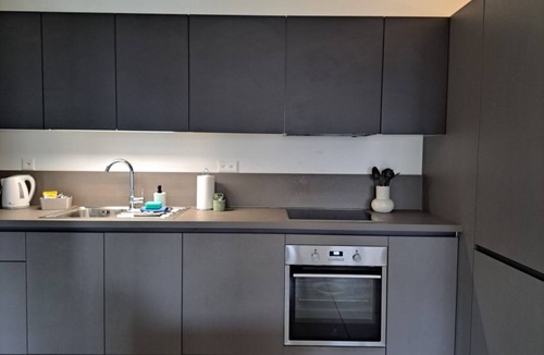 Viganello Apartment | Cosy bilo close to the centre (Urban 5)