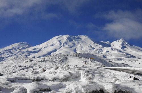 Ohakune Cabin | Cosy Cabins , Mountain Views and pet Friendly