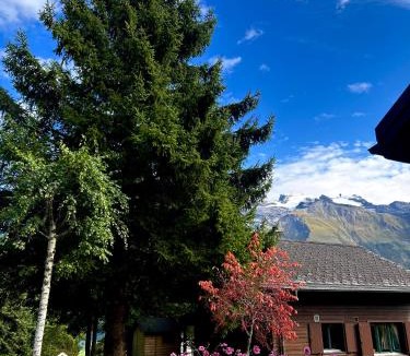Engelberg Ski Chalet | Cosy Chalet 87 in Engelberg with spectacular mountain and lake Views