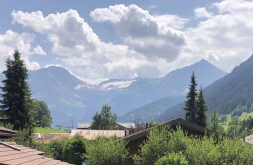 Zweisimmen Nr Gstaad Apartment | Cosy Chalet mountain view - Gstaad