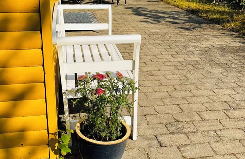 Boderne House | Cosy cottage in forest just 100 m from the beach