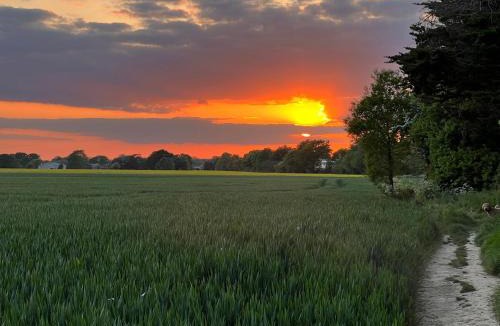Ford Apartment | Cosy garage conversion