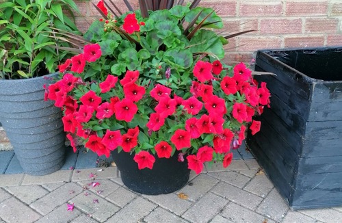 Great Billing House | Cosy King bed