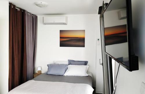 Villeneuve-les-Maguelone Apartment | Cosy Lodge Studio confortable et spacieux avec jardin