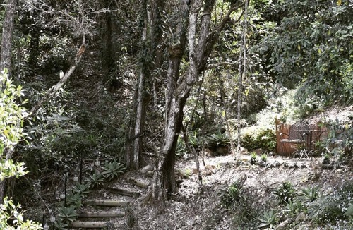 Guanaba House | Cosy Loft Style Barn Conversion nestled alongside a Hinterland Creek 🌺🐝🫏