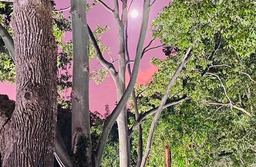 Guanaba House | Cosy Loft Style Barn Conversion nestled alongside a Hinterland Creek 🌺🐝🫏