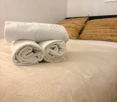 8th Arrondissement Apartment | Cosy Lyon Berthelot