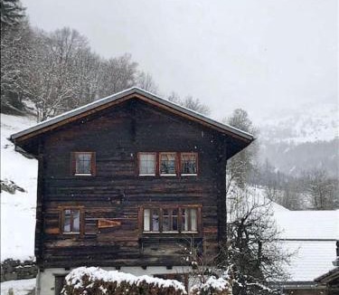 Fiesch Apartment | Cosy mountain apartment 5min walk from Gondola