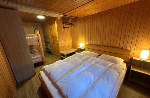 Fiesch Apartment | Cosy mountain apartment 5min walk from Gondola