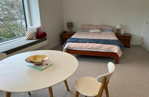 Wellington Apartment | Cosy, new, quiet Island Bay studio