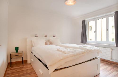 Alt-Wiedikon Apartment | Cosy Oasis Prime Location near Google