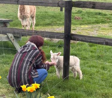 Sticklepath House | Cosy Off Grid Shepherds Hut with Wood Fired Hot Tub