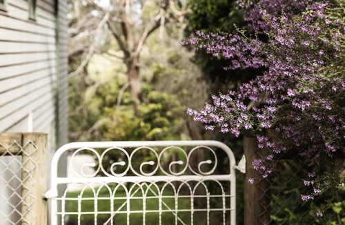 Warburton House | Cosy Retreat with Mountain Views