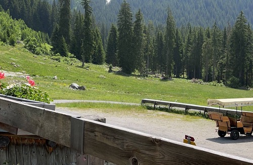 Klosters-Serneus Ski Chalet | Cosy Ski-in Mountain chic 4,5 rooms apartment