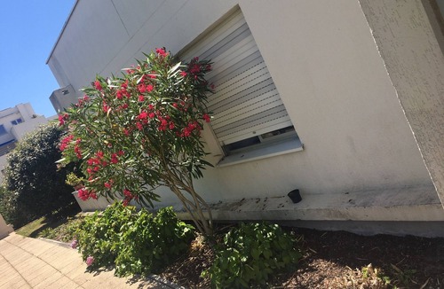 Arcachon Apartment | Cosy studio, close to the beach, real bed and parking