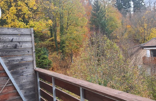 Le Hohwald Apartment | Cosy studio in Le Hohwald - Nature and relaxation guaranteed