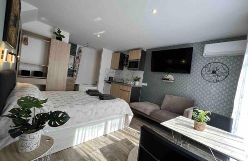 Tassin Apartment | Cosy studio l'éclipse Balneo