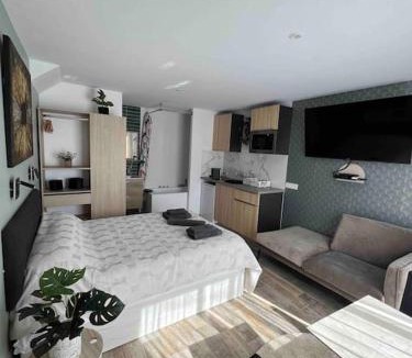 Tassin Apartment | Cosy studio l'éclipse Balneo