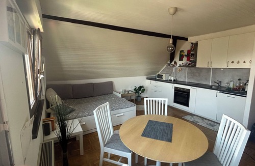 Arzier Apartment | Cosy studio with views of Lake Geneva and Mont Blanc