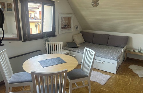 Arzier Apartment | Cosy studio with views of Lake Geneva and Mont Blanc