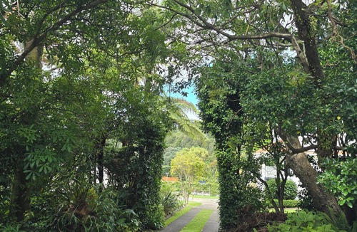 Whakatane Apartment | Cosy studio with AC and pool access