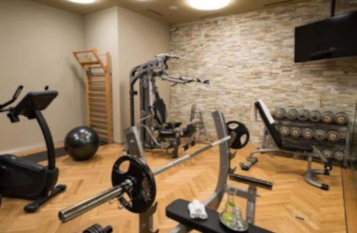 Laax Apartment | Cosy, stylish new flat with spa and gym & shuttle to ski lifts