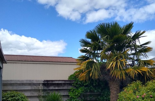 Matamata Apartment | Cosy two bedroom studio in Matamata