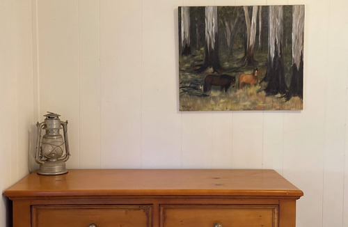 Bridge Creek Cabin | Cosy winter farmstay.