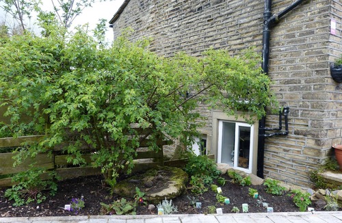 Ainley Top House | Cosy wood end cottage