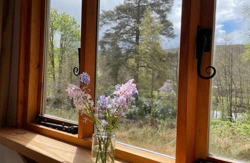 Saint John's Town of Dalry RV Rental | Cosy Woodland off Grid Shepherds Hut - Hazel