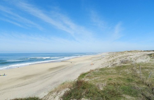 Biscarrosse Plage Apartment | Cottage 22 - Studio duplex flat