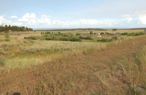 Island Park Cottage | Cottage (3 Adults)