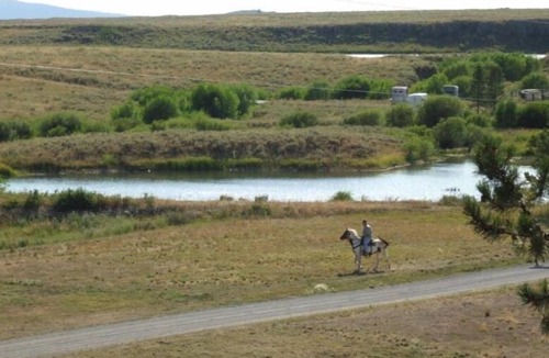 Island Park Cottage | Cottage (3 Adults)