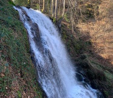 Ferrieres sur Ariege Apartment | Cottage at La Ferme des Saliés - 10 min from Foix