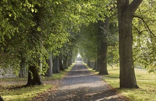 Melksham Cottage | Cottage at Shaw