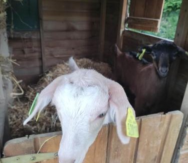 Region de Beauvais Other | Cottage bungalow le St Vel'