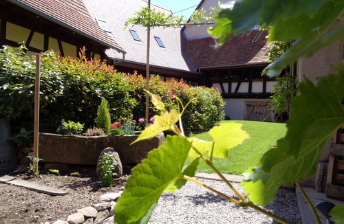 Dambach-la-Ville House | Cottage Coopers RdC