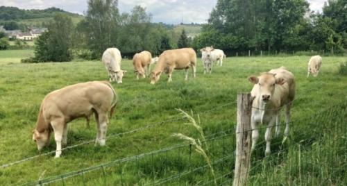 Neuf-Marche Bed & Breakfast | Cottage de Vardes