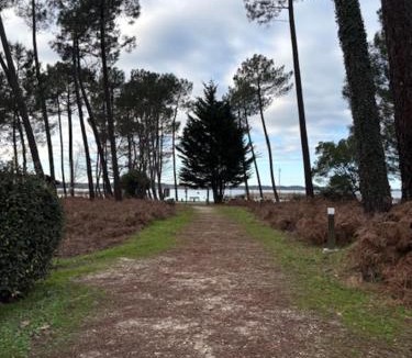 Parentis-en-Born Ski Chalet | Cottage du Lac