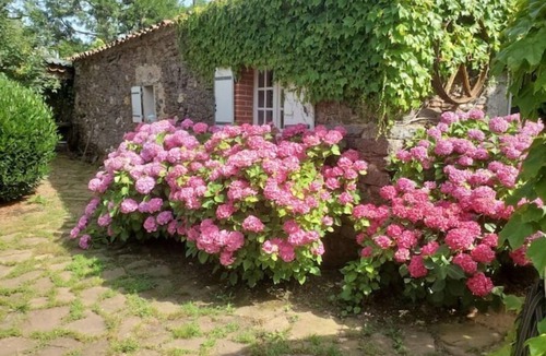 Teillet Cottage | Cottage en Pleine Nature