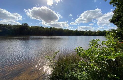 Signy-le-Petit House | Cottage entier 4 ou 6 personnes gîte 19